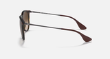 Ray-Ban Erika Sunglasses - Rubber Havana W/ Brown