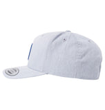 DC Mens Badger 2 Snapback Hat