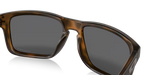 Oakley Holbrook™ Sunglasses - Matte Brown Tortoise W/ Prizm Black