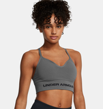 Under Armour Women's UA Vanish Seamless Low Sports Bra