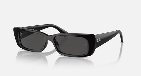Ray-Ban Teru Sunglasses - Black W/ Dark Grey