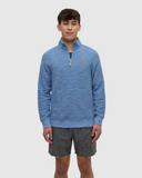 Tentree Mens Powell Slub Cotton Quart Zip Sweater - Lakeside / Timber Flash Stripe