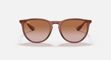 Ray-Ban Erika Sunglasses - Transparent Light Brown W/ Gradient Brown