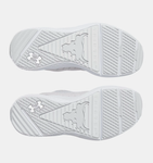 Under Armour Men's Project Rock BSR 5 Training Shoes - Halo Gray / Mod Gray - 014