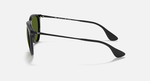 Ray-Ban Erika Sunglasses - Black W/ G-15 Green Polar