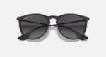 Ray-Ban Erika Sunglasses - Rubber Black W/ Light Grey Gradient Polar