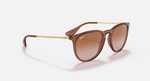 Ray-Ban Erika Sunglasses - Transparent Light Brown W/ Gradient Brown