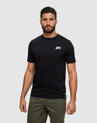 Tentree Mens Northern Aurora T-Shirt - Meteorite Black / Aurora Treeline