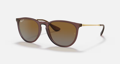 Ray-Ban Erika Sunglasses - Transparent Dark Brown W/ Brown Gradient Polar