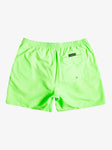 Quiksilver Mens Everyday 17" Volley Shorts