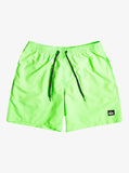 Quiksilver Mens Everyday 17" Volley Shorts