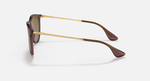 Ray-Ban Erika Sunglasses - Transparent Dark Brown W/ Brown Gradient Polar