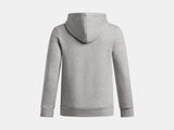 Under Armour Boys' Icon Fleece Team Hoodie - Mod Gray Light Hthr / White - 011