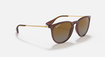 Ray-Ban Erika Sunglasses - Transparent Dark Brown W/ Brown Gradient Polar