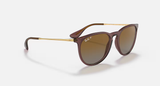 Ray-Ban Erika Sunglasses - Transparent Dark Brown W/ Brown Gradient Polar
