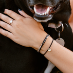 Pura Vida Bracelet ~ Pet Rescue