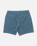 Salty Crew Mens Seadog Volley Boardshorts - Hydro