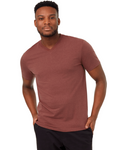 Tentree Mens Treeblend V-Neck T-Shirt