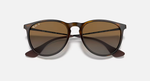 Ray-Ban Erika Sunglasses - Light Havana W/ Brown Polar