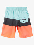 Quiksilver Little Boys Everyday Panel 14" Boardshorts