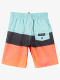 Quiksilver Little Boys Everyday Panel 14" Boardshorts