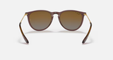 Ray-Ban Erika Sunglasses - Transparent Dark Brown W/ Brown Gradient Polar