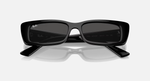 Ray-Ban Teru Sunglasses - Black W/ Dark Grey