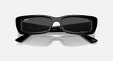 Ray-Ban Teru Sunglasses - Black W/ Dark Grey