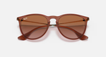 Ray-Ban Erika Sunglasses - Transparent Light Brown W/ Gradient Brown