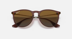 Ray-Ban Erika Sunglasses - Transparent Dark Brown W/ Brown Gradient Polar