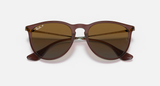 Ray-Ban Erika Sunglasses - Transparent Dark Brown W/ Brown Gradient Polar
