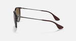 Ray-Ban Erika Sunglasses - Light Havana W/ Brown Polar