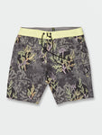 Volcom Mens Mashed Stoney Trunks