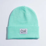 Coal The Mel Recycled Polylana Knit Beanie - Mint