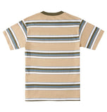 DC Mens Bully Stripe T-Shirt