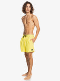 Quiksilver Mens Everyday 17" Volleys Shorts