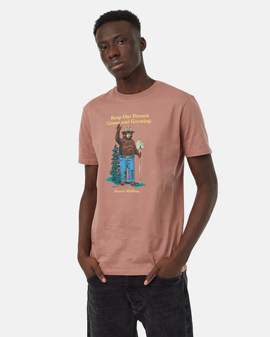 Tentree Mens Smokey Bear Please Folks T-Shirt