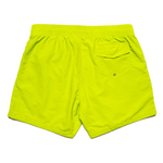 Taikan Mens Nylon Shorts