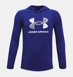 Under Armour Boys' UA Tech™ Big Logo Hoodie