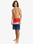 Quiksilver Mens Surfsilk Panel 20" Boardshorts