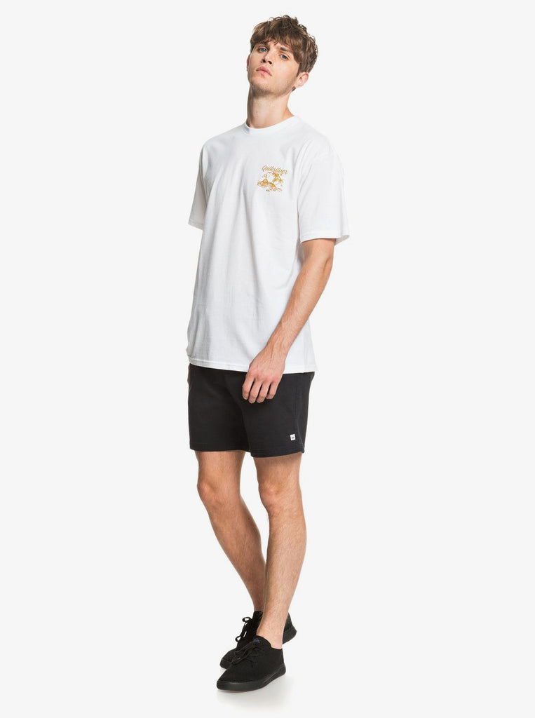 Quiksilver cabo store shorts