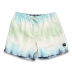 Vans Mens Mixed 16" Volley Shorts