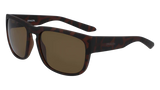 Dragon Rune - Matte Tortoise Bronze