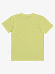 Quiksilver Little Boys Pelican Shred T-Shirt